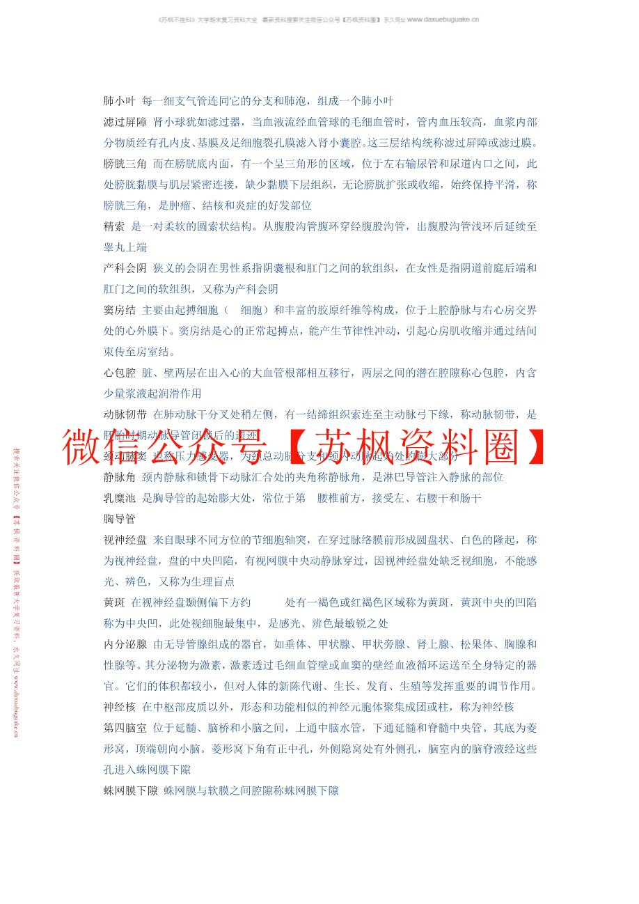 人体形态学(更新)